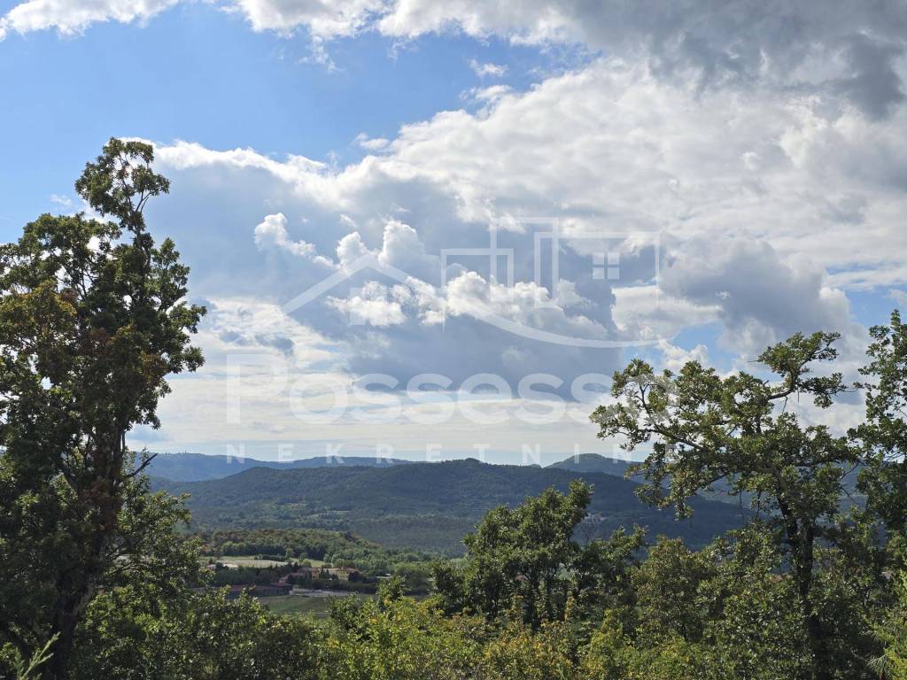 Buzet, Buzet