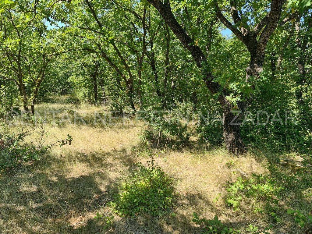 Poljoprivredno zemljište, Prodaja, Posedarje, Slivnica