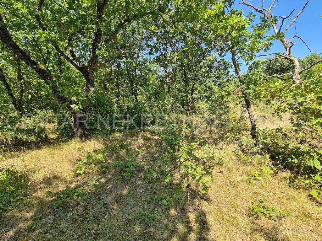 Poljoprivredno zemljište, Prodaja, Posedarje, Slivnica
