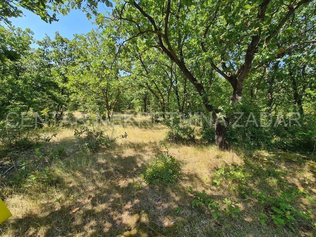 Poljoprivredno zemljište, Prodaja, Posedarje, Slivnica