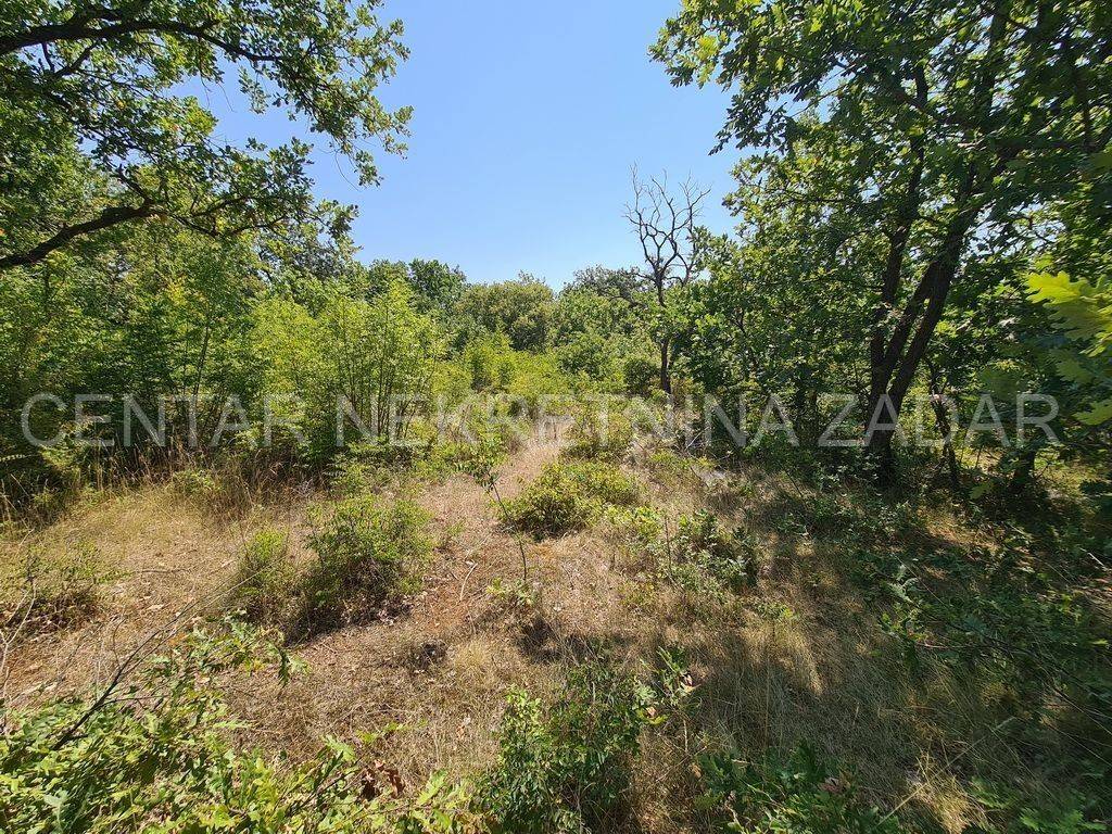 Poljoprivredno zemljište, Prodaja, Posedarje, Slivnica