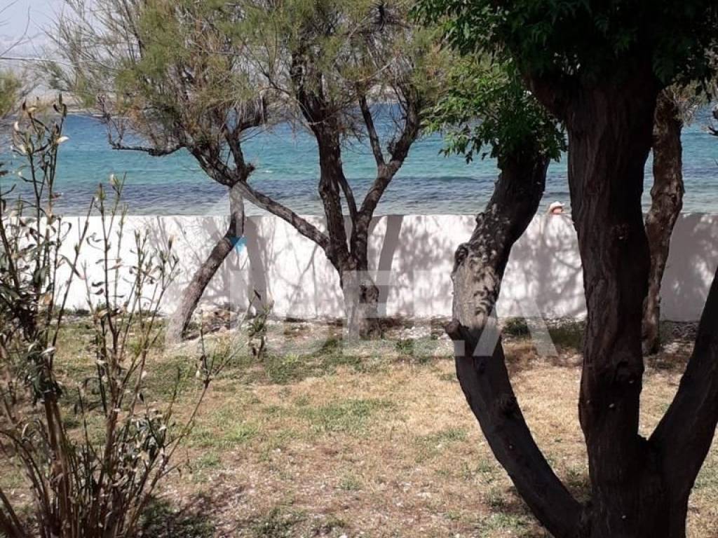 Apartmanska kuća, Prodaja, Vir, Vir