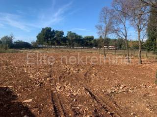 Poljoprivredno zemljište, Prodaja, Pula, Pula