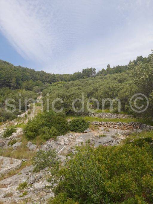 Poljoprivredno zemljište, Prodaja, Blato, Prižba