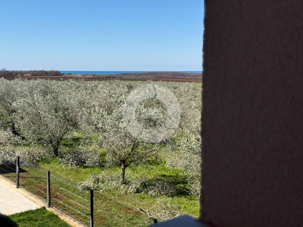 Dvojna kuća, Prodaja, Novigrad, Novigrad