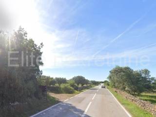 Poljoprivredno zemljište, Prodaja, Vodnjan, Vodnjan