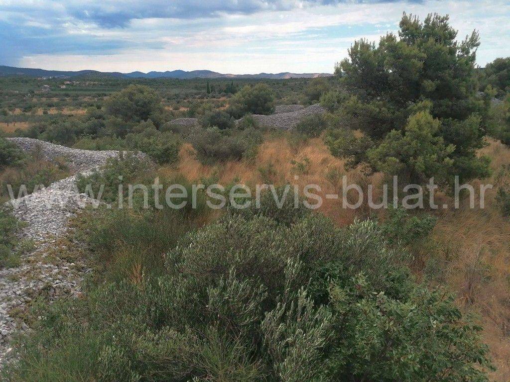 Poljoprivredno zemljište, Prodaja, Vodice, Srima