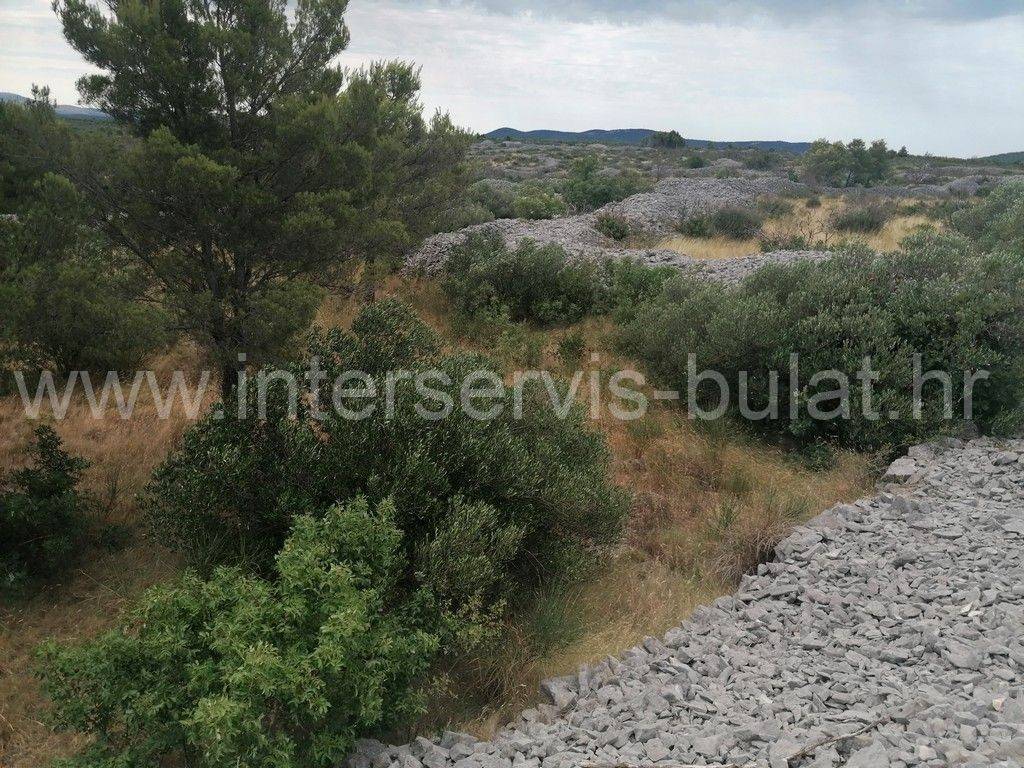 Poljoprivredno zemljište, Prodaja, Vodice, Srima