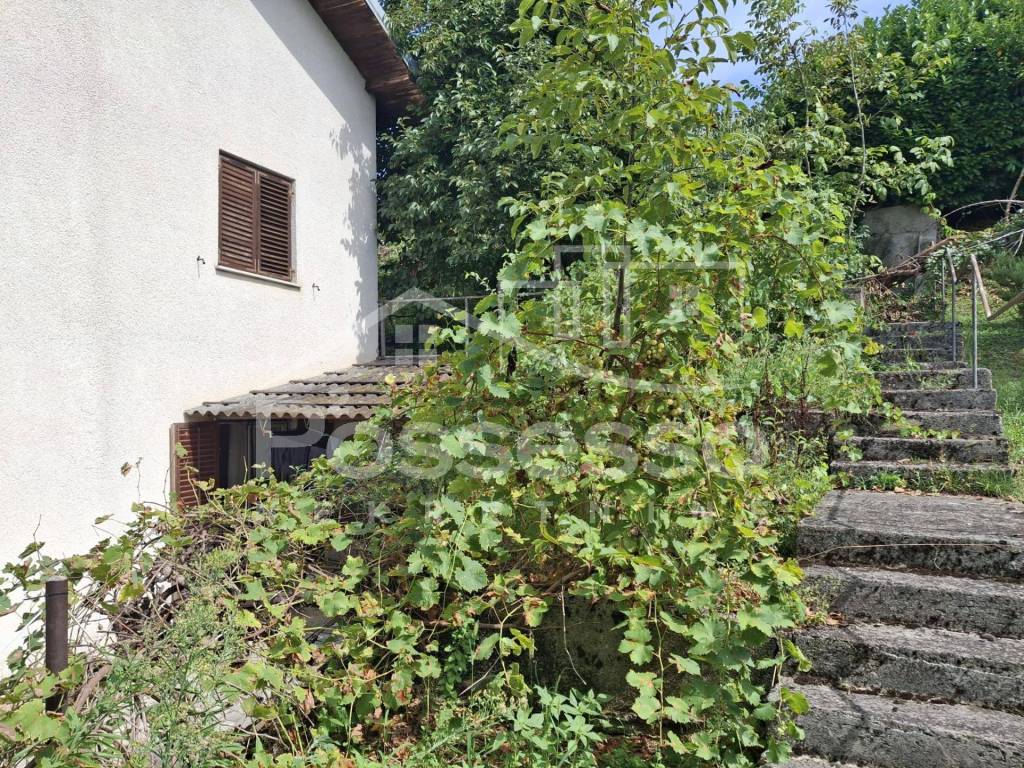 Buzet, Buzet