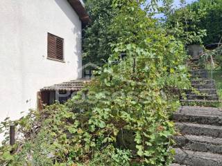 Buzet, Buzet