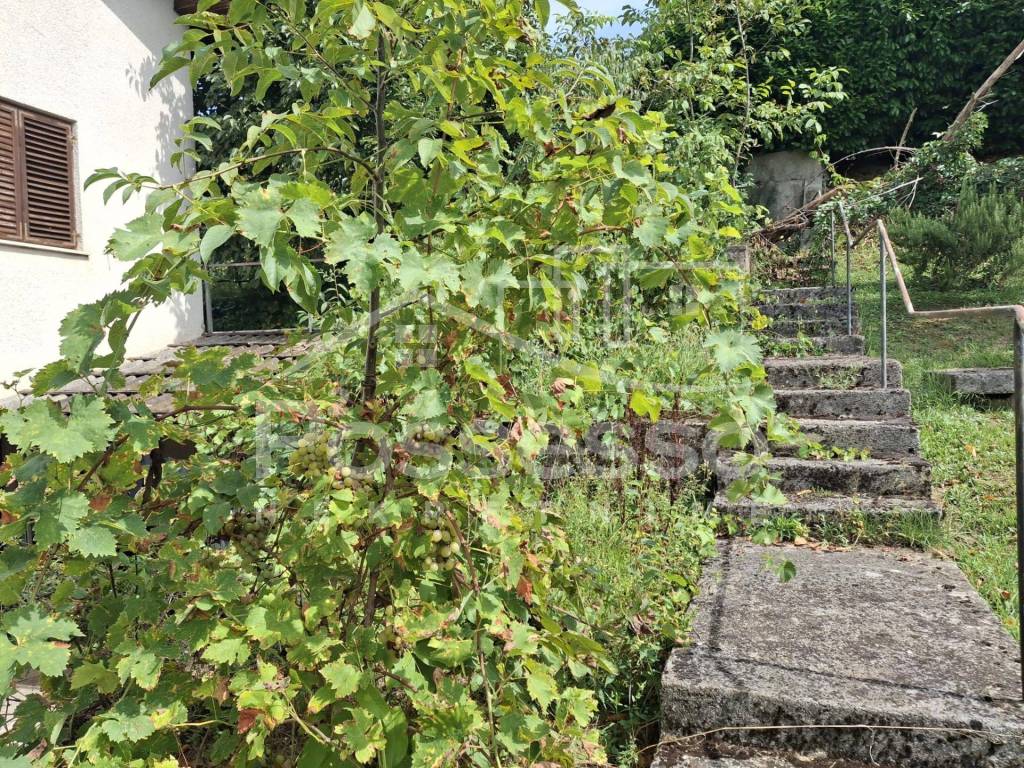 Buzet, Buzet