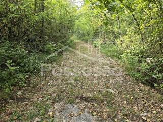 Buzet, Rocko Polje