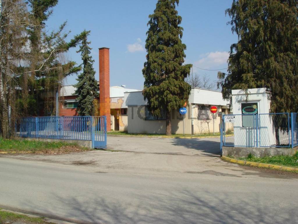 182474468.jpg