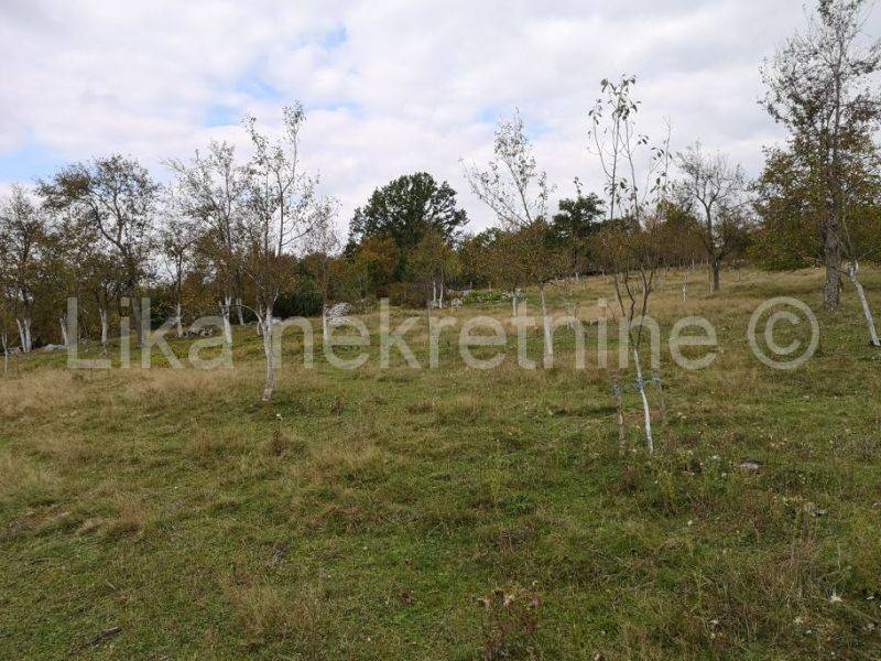 Građevinsko zemljište, Prodaja, Perušić, Perušić