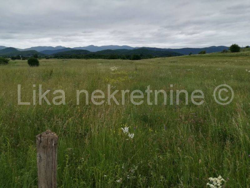 Oranica, Prodaja, Otočac, Otočac