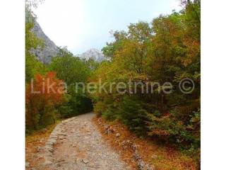 Pašnjak, Prodaja, Gospić - Okolica, Počitelj