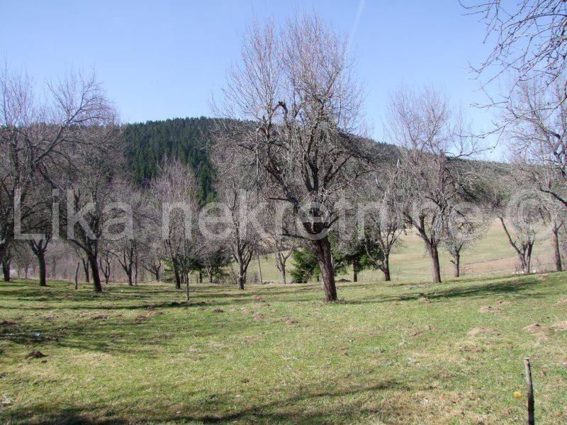 Seosko imanje , Prodaja, Vrhovine, Gornje Vrhovine