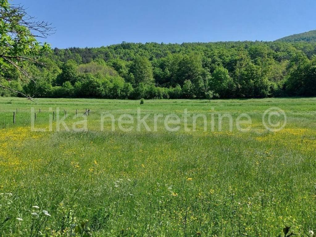 Poljoprivredno - oranica, Prodaja, Otočac, Sinac