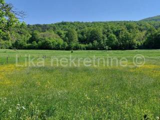 Poljoprivredno - oranica, Prodaja, Otočac, Sinac