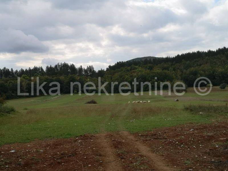 Građevinsko i poljoprivredno , Prodaja, Perušić, Perušić