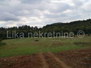 Građevinsko i poljoprivredno , Prodaja, Perušić, Perušić