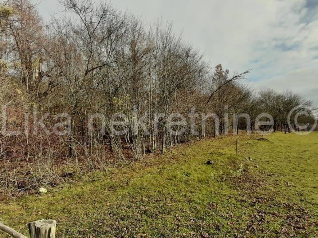 Samostojeća - starinska kuća, Prodaja, Vrhovine, Vrhovine