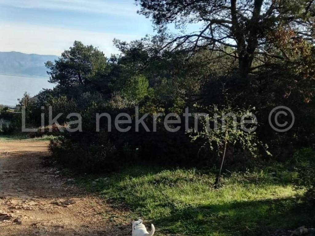 Poljoprivredno uz more - šuma, Prodaja, Sutivan, Sutivan