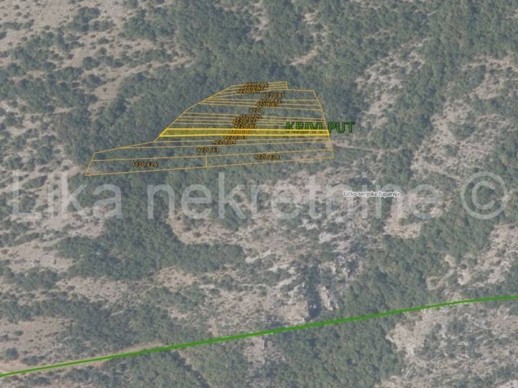Pašnjak, Prodaja, Senj, Krivi Put