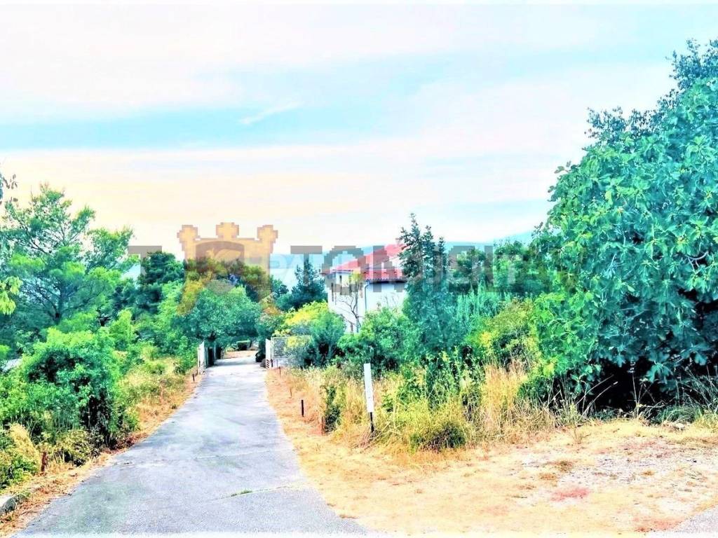 Novigrad, Novigrad