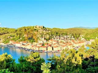 Novigrad, Novigrad