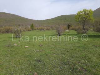 Obiteljsko gospodarstvo, Prodaja, Udbina, Komić