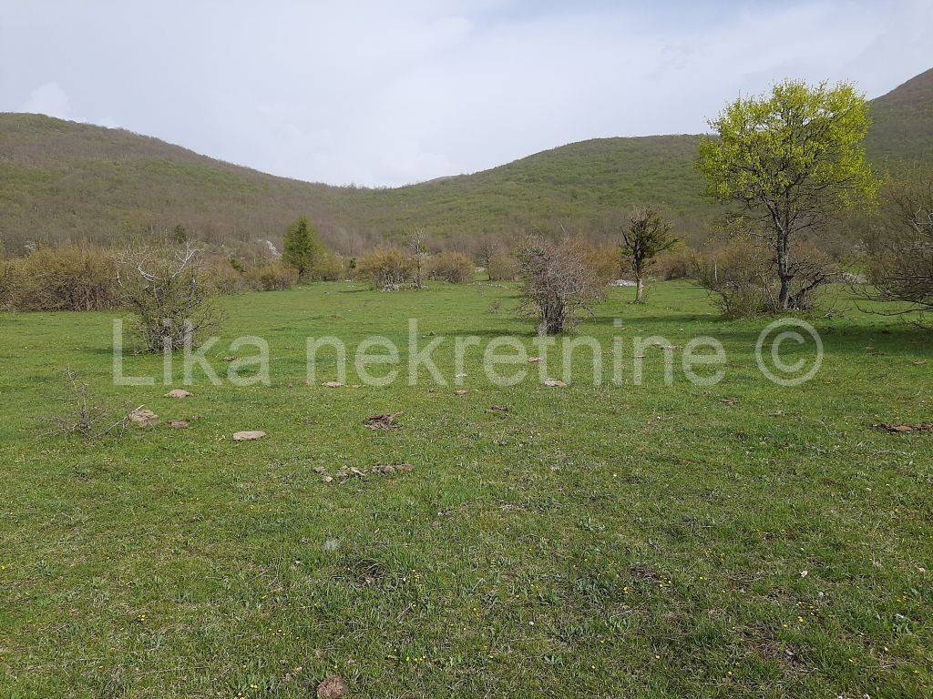 Obiteljsko gospodarstvo, Prodaja, Udbina, Komić