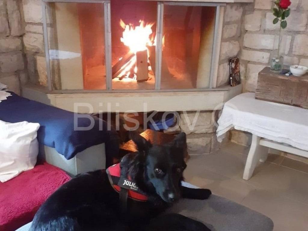 Stan u kući, Prodaja, Novigrad, Bužinija