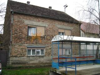 181851999.jpg