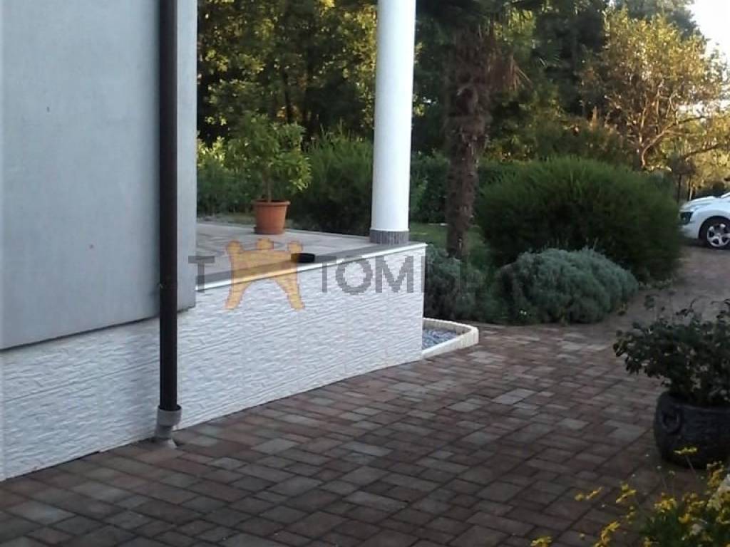 181853487.jpg