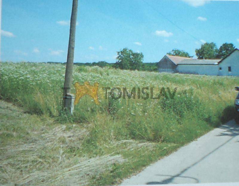 182294381.jpg