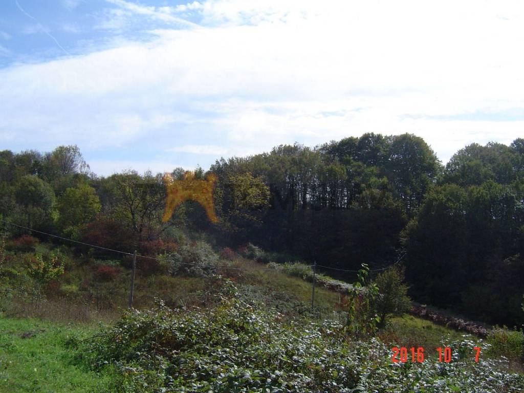 Poljoprivredno zemljište, Prodaja, Karlovac - Okolica, Udbinja