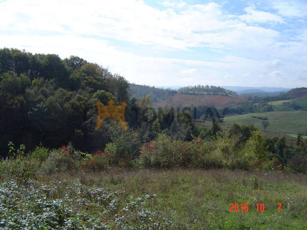 Poljoprivredno zemljište, Prodaja, Karlovac - Okolica, Udbinja