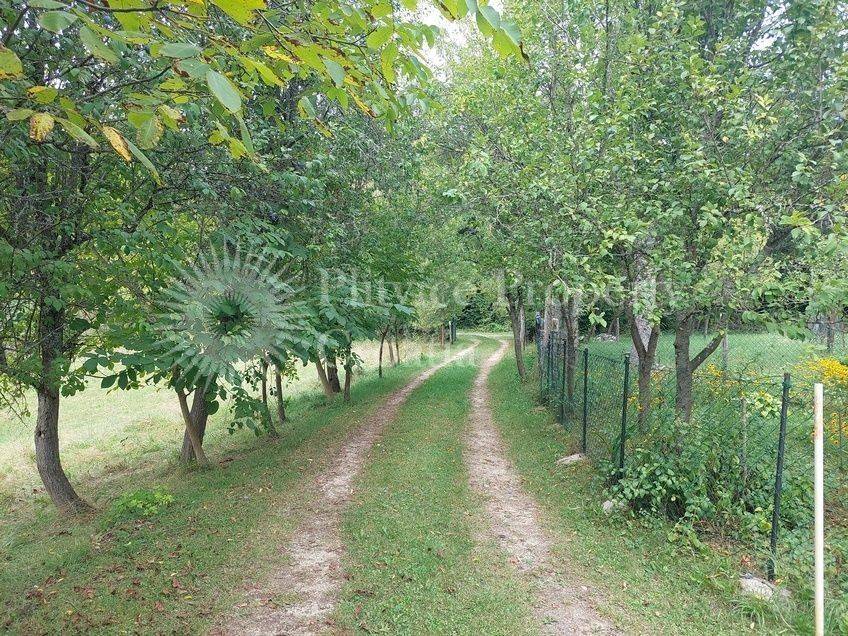 Obiteljska kuća, Prodaja, Barilovići, Koransko Selo