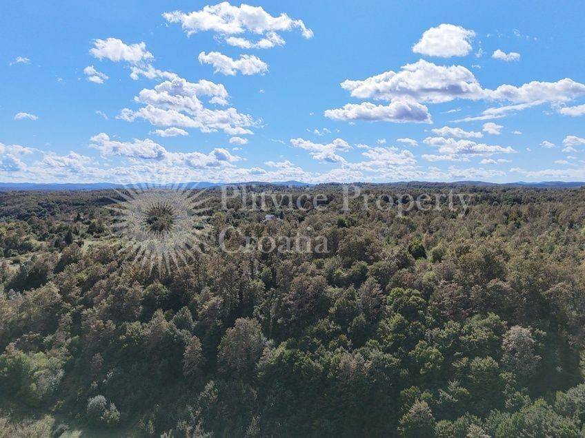 Obiteljska kuća, Prodaja, Barilovići, Koransko Selo