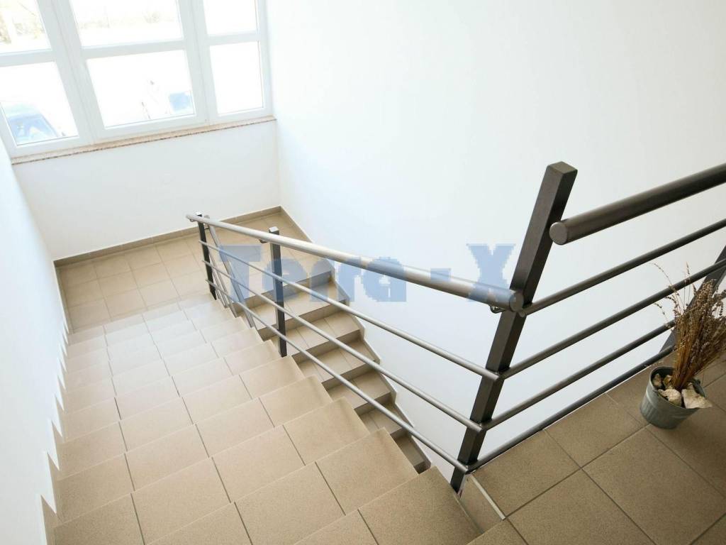 Hala, Zakup, Sveta Nedelja, Orešje