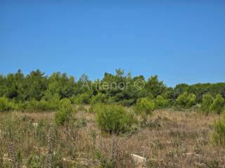 Građevinsko zemljište, Prodaja, Vrsi, Mulo
