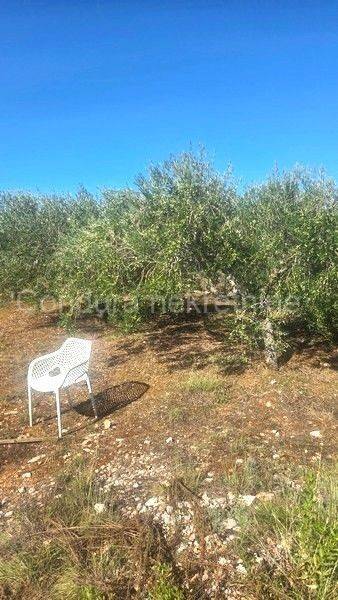 Poljoprivredno zemljište, Prodaja, Vir, Vir