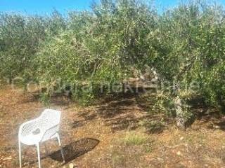 Poljoprivredno zemljište, Prodaja, Vir, Vir