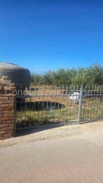 Poljoprivredno zemljište, Prodaja, Vir, Vir