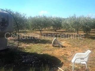 Poljoprivredno zemljište, Prodaja, Vir, Vir