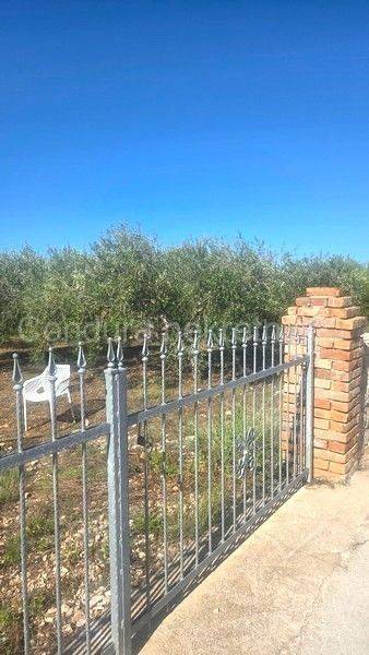 Poljoprivredno zemljište, Prodaja, Vir, Vir