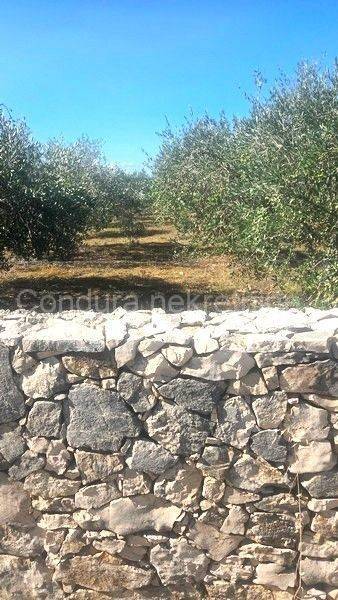 Poljoprivredno zemljište, Prodaja, Vir, Vir