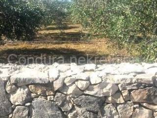 Poljoprivredno zemljište, Prodaja, Vir, Vir