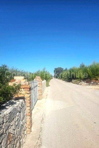 Poljoprivredno zemljište, Prodaja, Vir, Vir